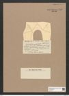Thalassiothrix curvata Castr. (de-Toni-Nr.: Genus 67, Species 2672) Zeichnungen Sammlung Grunow Nr. 5458 (NHMW-BOT-W0373877)